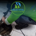 cleanu