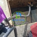 cleanu