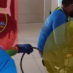 cleanu