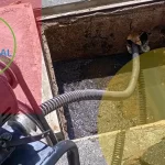 cleanu