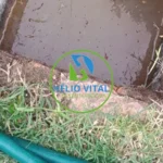 cleanu